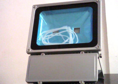 Brilho da ceia das luzes de inundação da fase do diodo emissor de luz da carcaça de alumínio 100W para o casamento/partido