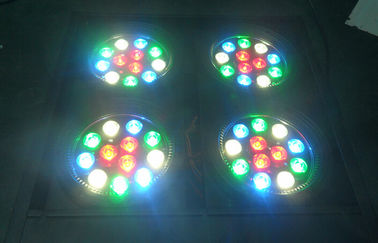 Os olhos conduzidos Rgbw DJ da luz 4 dos antolhos de Dmx da audiência encenam a iluminação da luz profissional